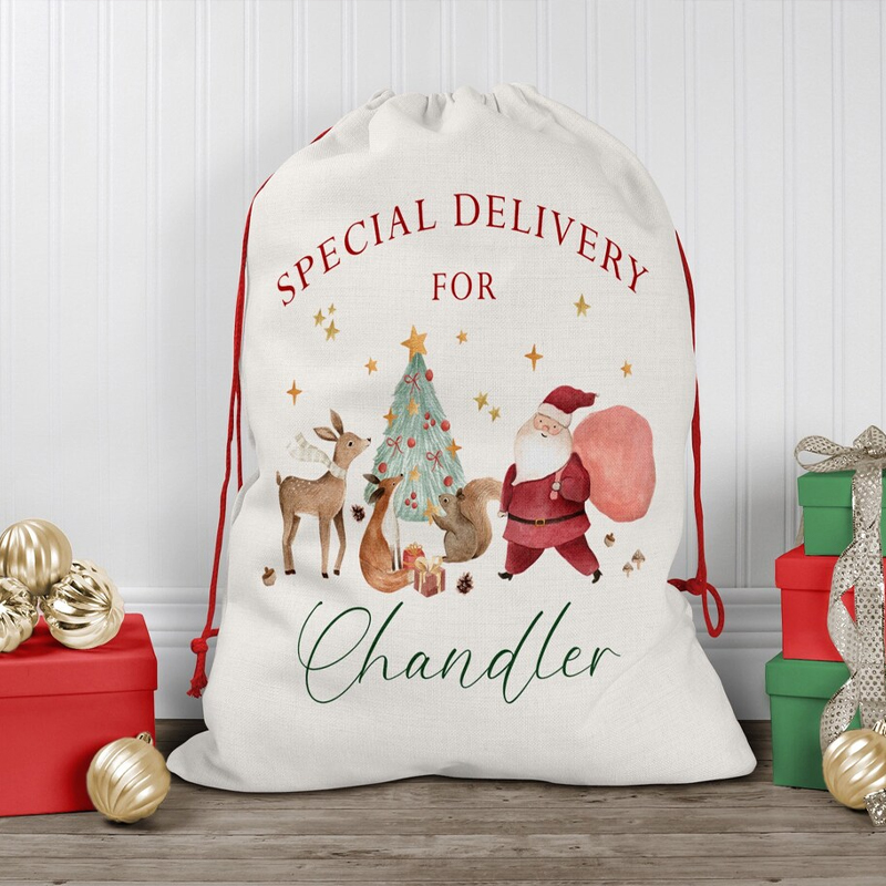 Personalised Name Christmas Dr - Kids Toys Names 评论和价格