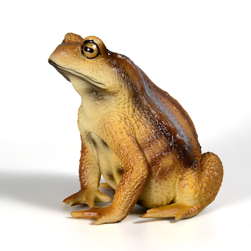 Amphibian Frog Figure Insect M - Kids Toys Packaging 评论和价格