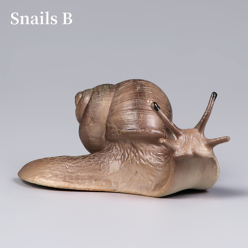Educational Snail Action Figur - Kids Toys Packaging 评论和价格