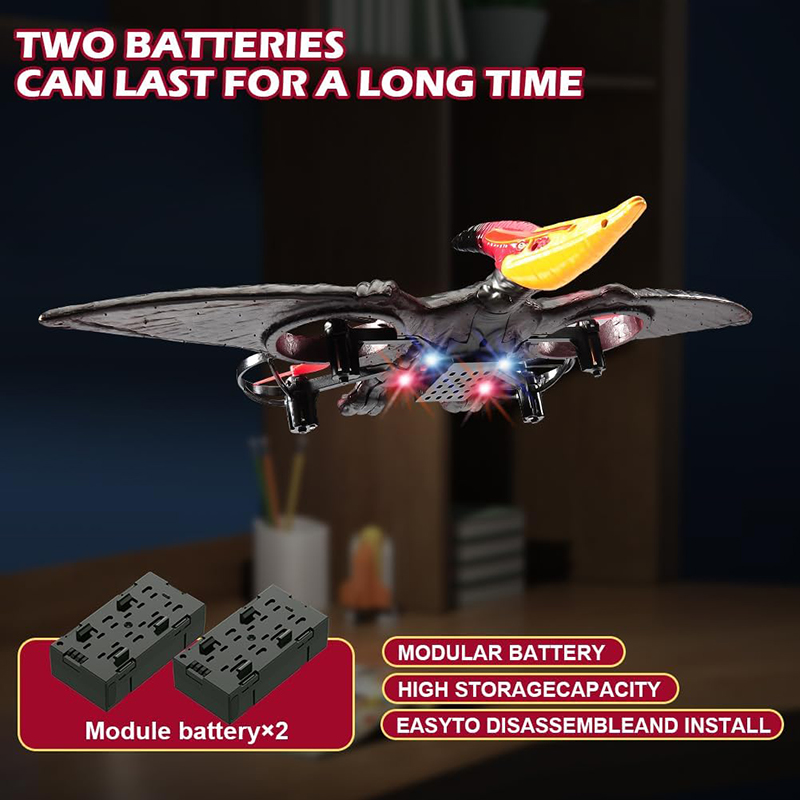 RC Plane Pterosaur 2.4G 6-Axis - Kids Toys Under £5 评论和价格