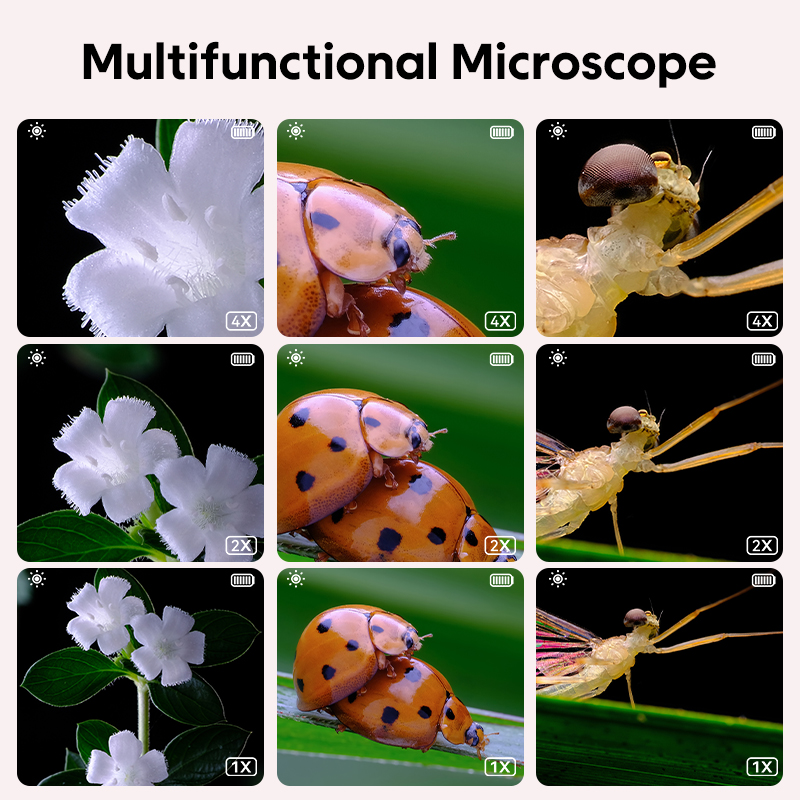 Mini Kids Optical Microscope W - Kids Toys Videos 评论和价格